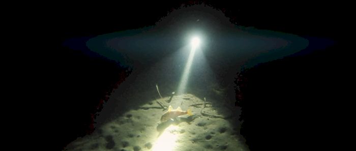 Scuba Diving in Jóncols